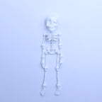 🎃3D Printed Vintage Skeleton Magnetic Figurine 🎃