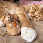 Fur-ever Loved Cat Hair Memorial Pendant