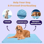 🔥Hot Sale 49% OFF 🧊Dog Cooling Mat (4x more effective)