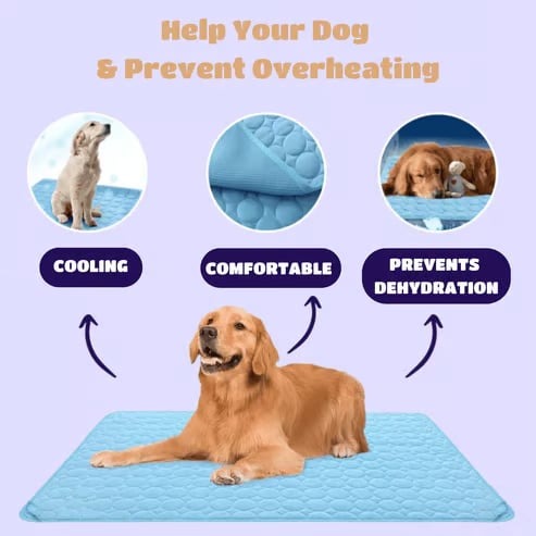 🔥Hot Sale 49% OFF 🧊Dog Cooling Mat (4x more effective)