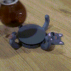 🐱3d Print Cat Coasters🐱