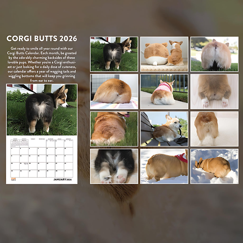 Corgi Butt Calendar 2026