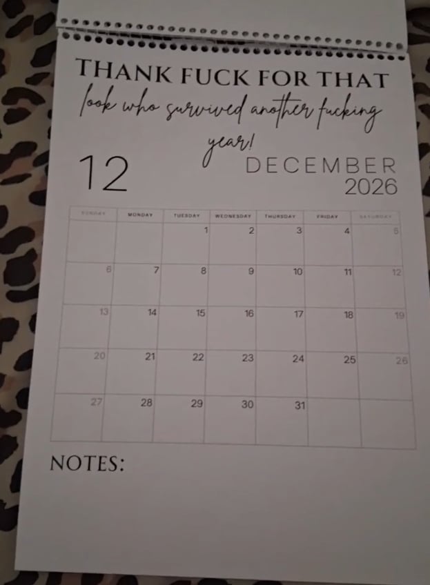 😂Fuck It 2026 Spiral Bound Wall Calender📆